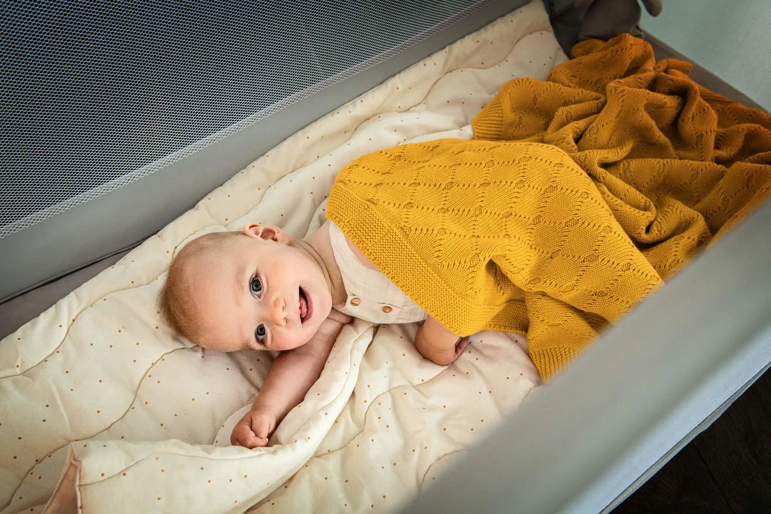 hauck dream n play 6