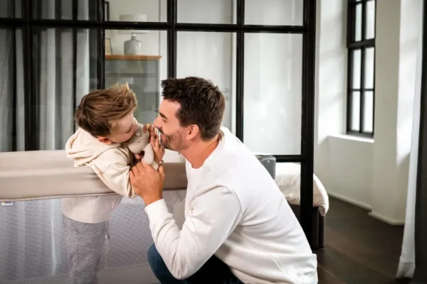 hauck dream n play 7