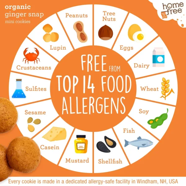 homefree mini ginger snaps 4