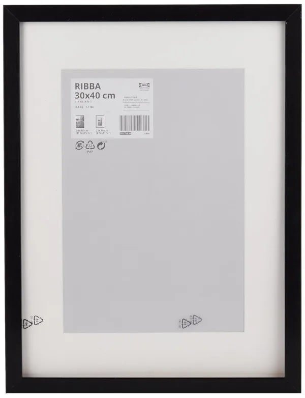 ikea ribba black frame 2