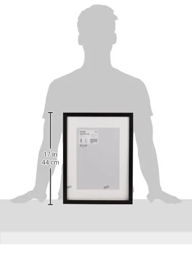 ikea ribba black frame 5
