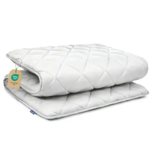 japanese floor mattress 1