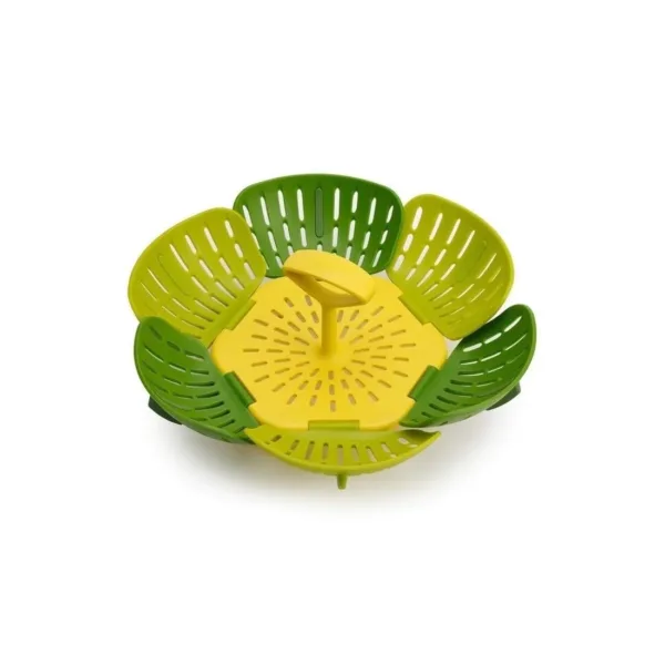 joseph bloom steamer 6