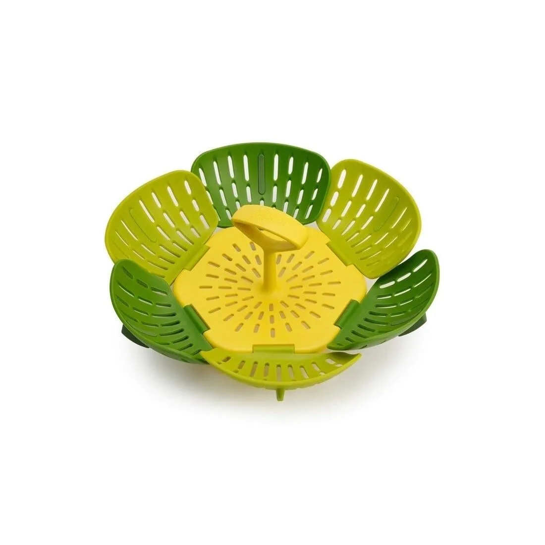 joseph bloom steamer 6