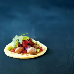 jovial organic borlotti 6