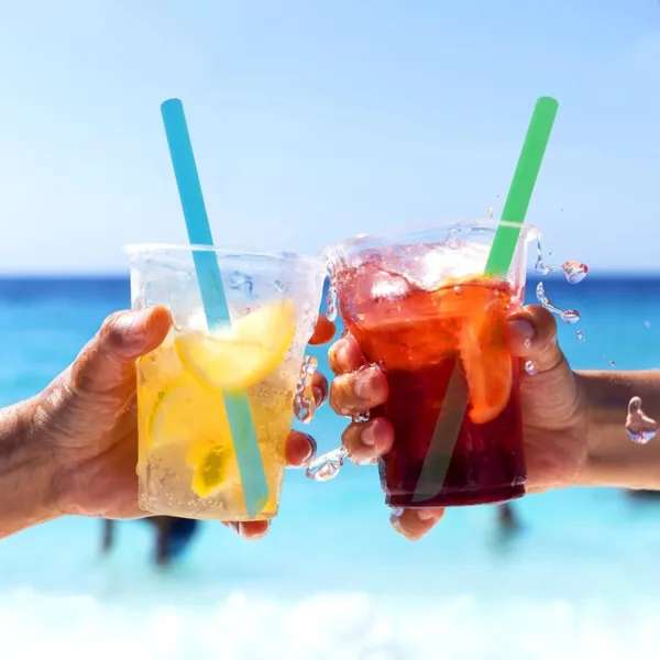 jumbo smoothie straws individually 6