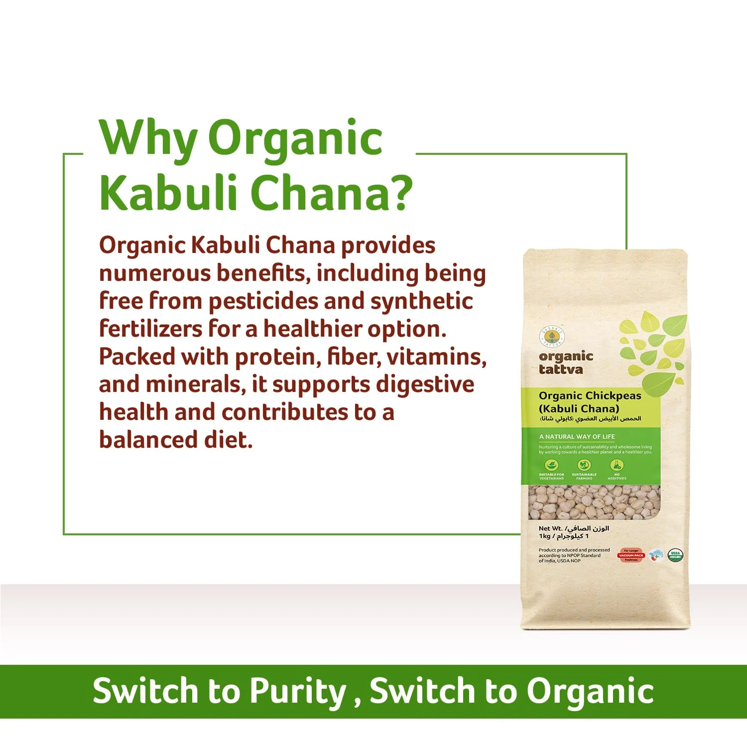 kabuli chana chickpeas 7