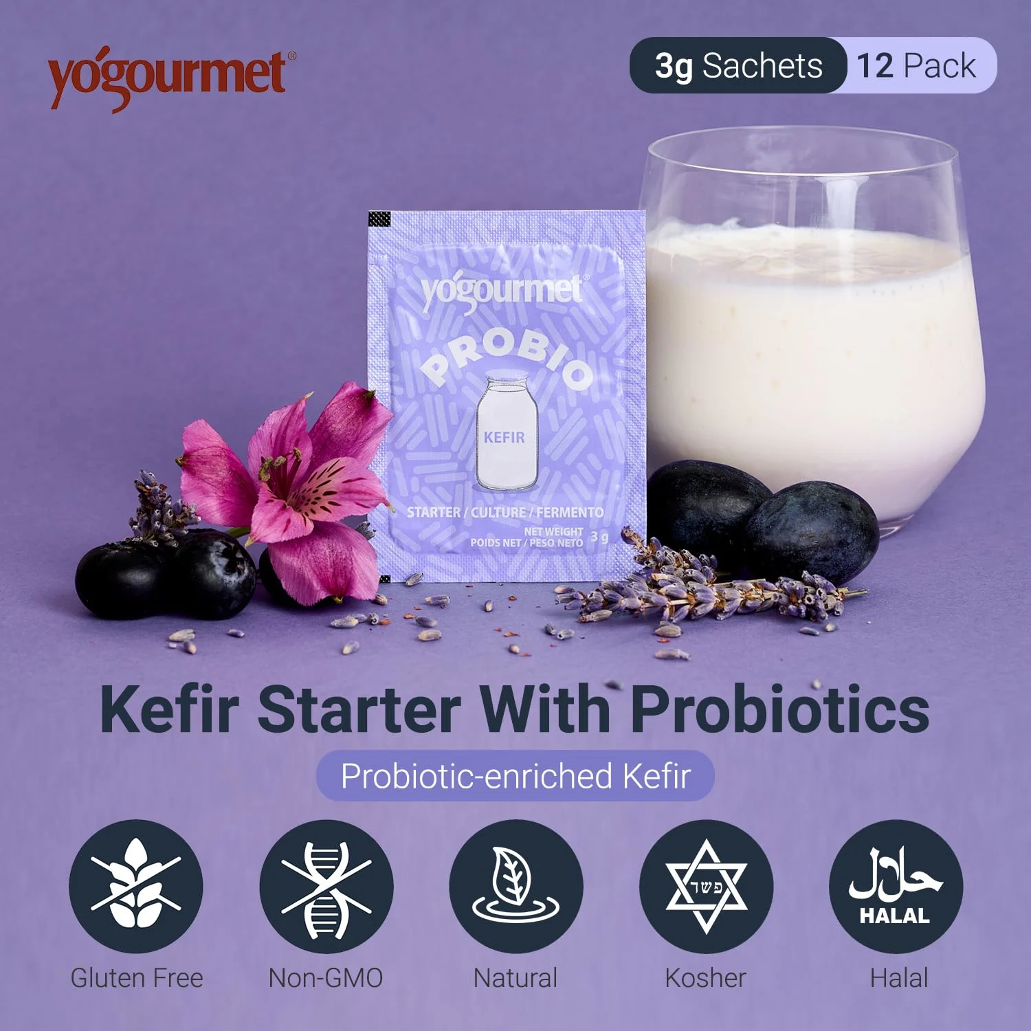 kefir starter probiotic 2