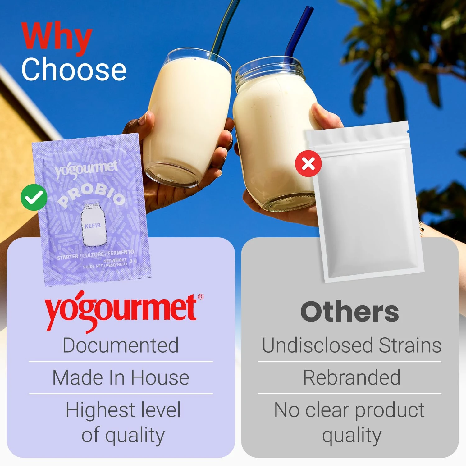 kefir starter probiotic 3