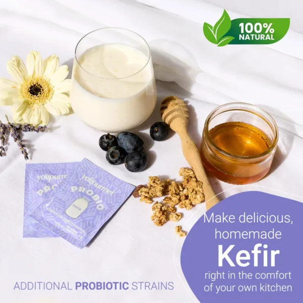 kefir starter probiotic 7