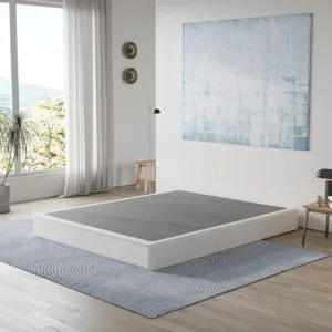 king box spring 3