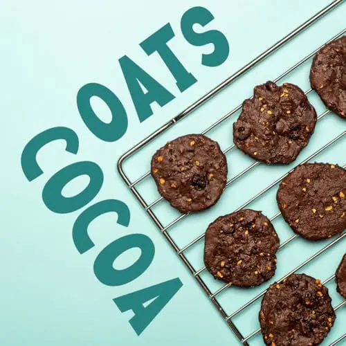 koala picks choco oat 6