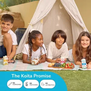 koita coconut milk 6