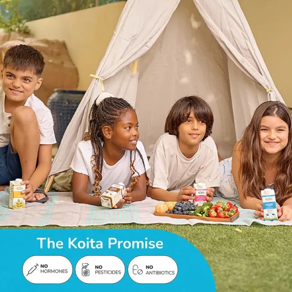 koita coconut milk 6