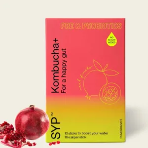 kombucha pomegranate gut 1