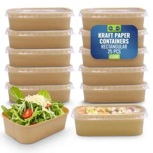 kraft paper containers 1
