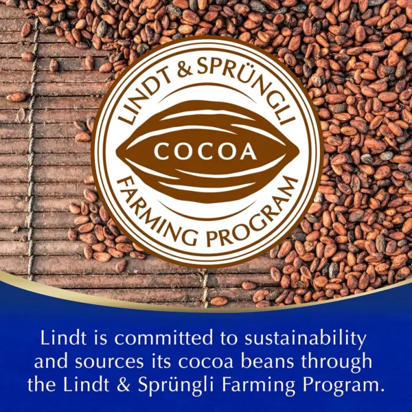 lindt hot chocolate 7