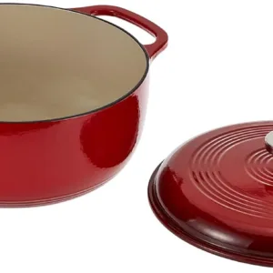 lodge cast iron dutch 2