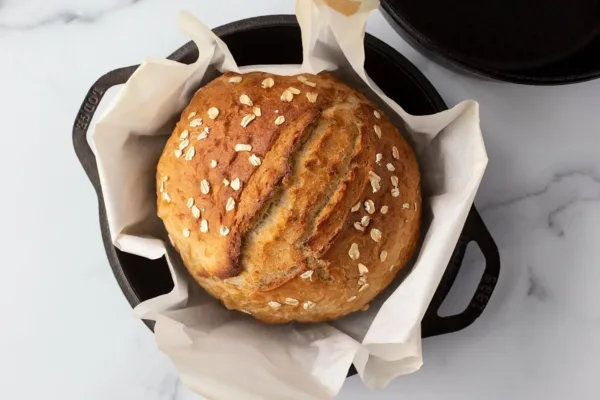 lodge cast iron dutch 4