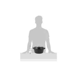 lodge cast iron dutch 6