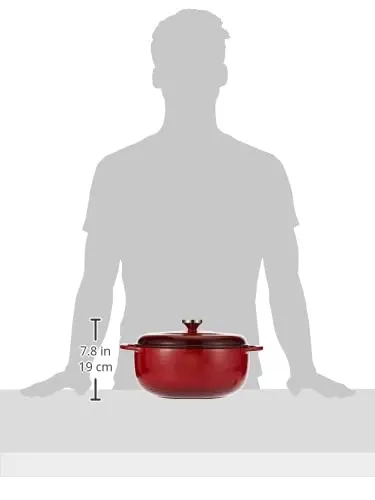 lodge enameled dutch oven 5