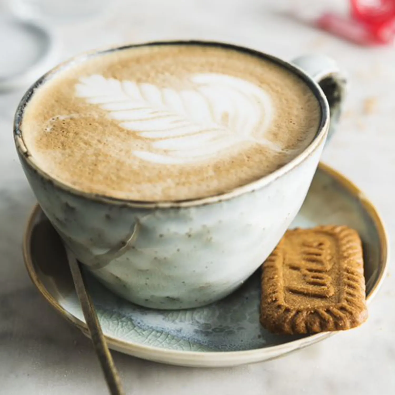 lotus biscoff biscuit 7