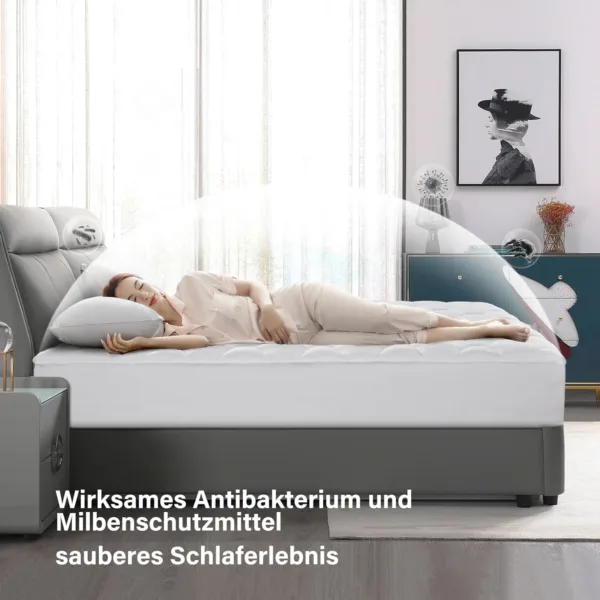 mattress topper soft protector 2