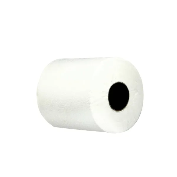 maxi roll tissue 2