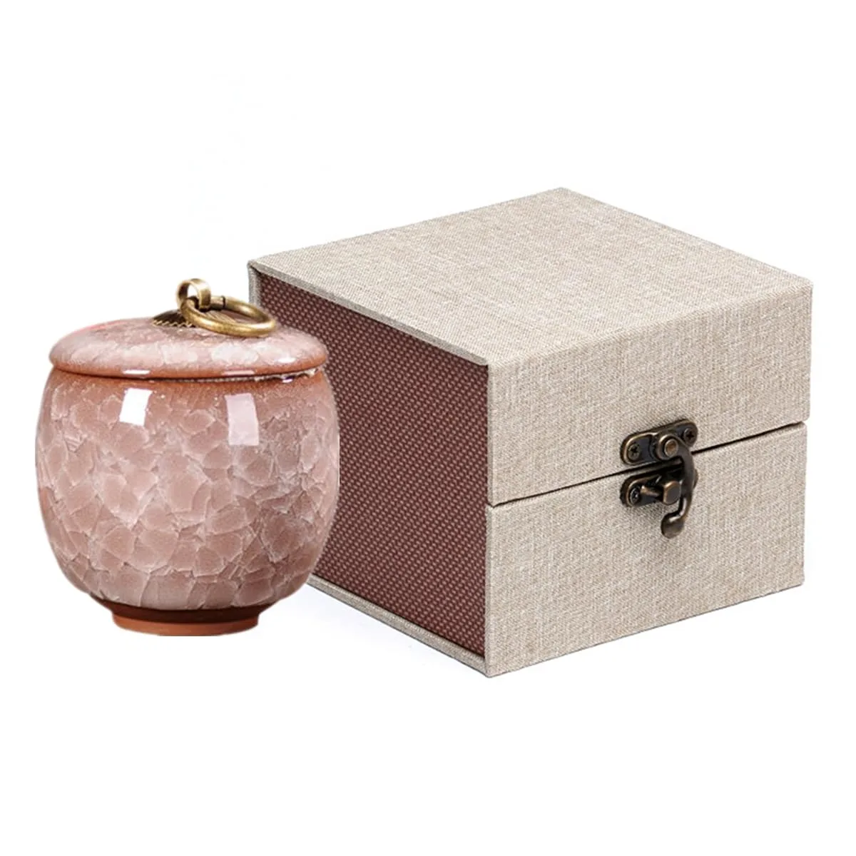 mini pet urn ashes 1