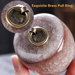 mini pet urn ashes 2