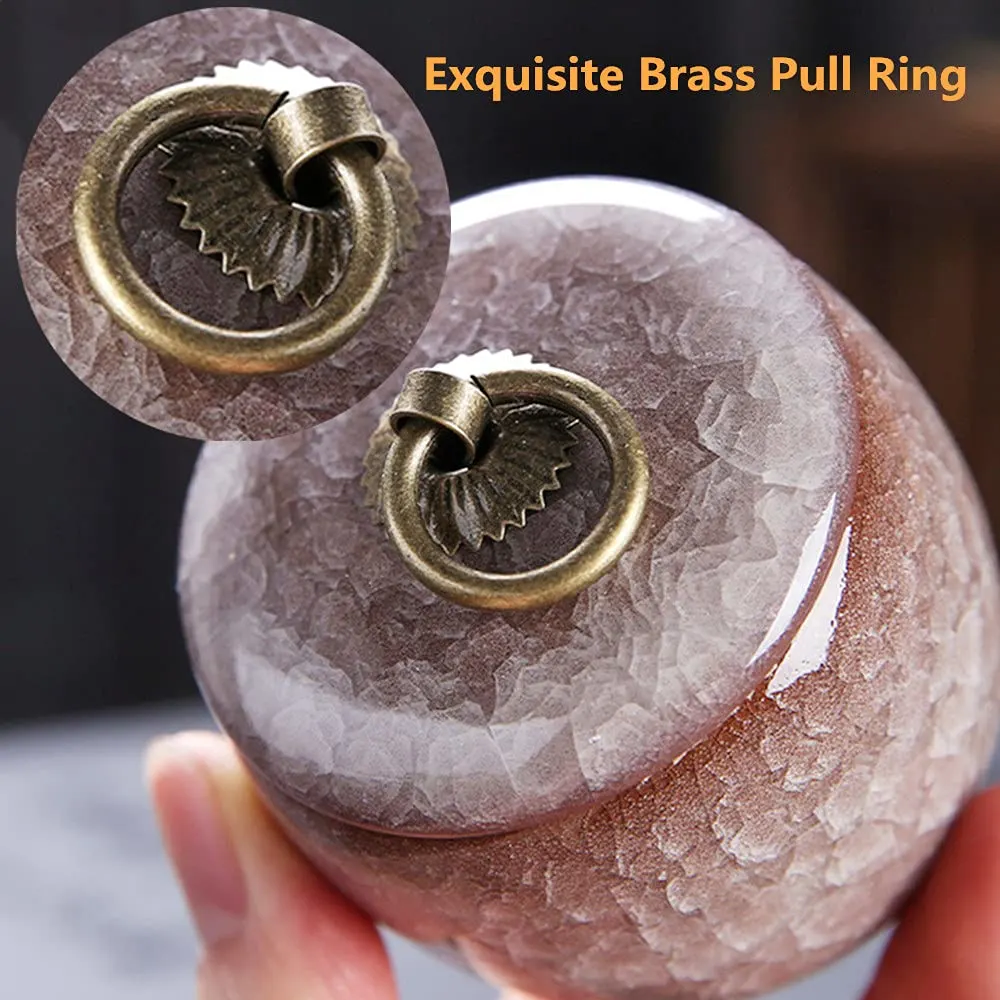 mini pet urn ashes 2