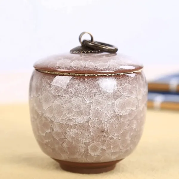 mini pet urn ashes 4