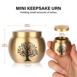 mini urns ashes 2
