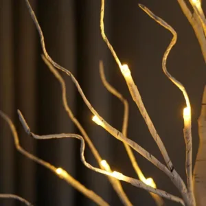 money tree gift holder 3