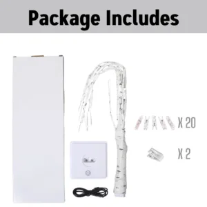 money tree gift holder 7