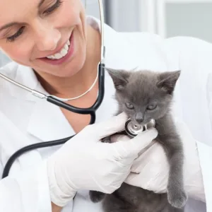 nitrile exam gloves 2