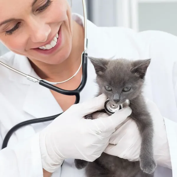 nitrile exam gloves 2