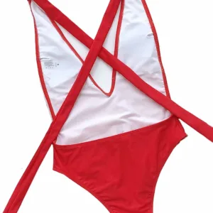 one piece swimsuit plunge 4