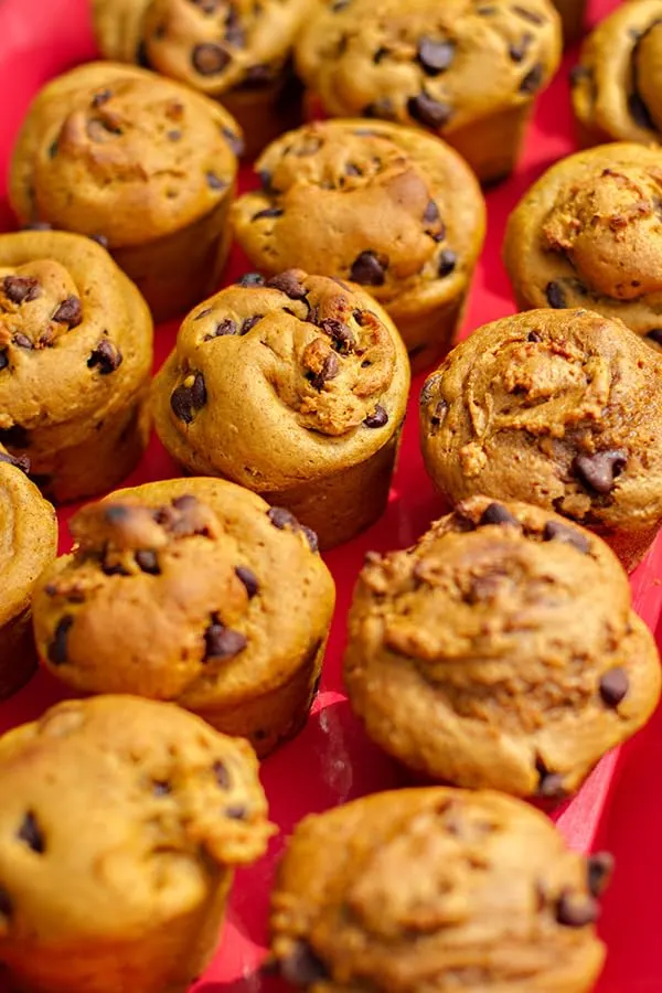 organic canned pumpkin 4