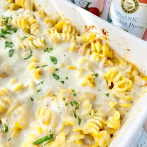 organic canned pumpkin 5