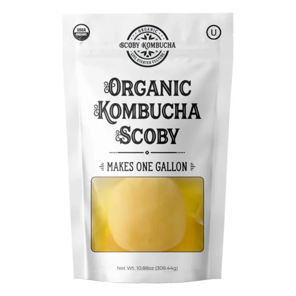 organic kombucha scoby live 1