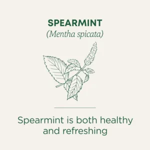 organic spearmint tea 3
