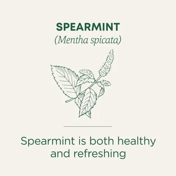 organic spearmint tea 3
