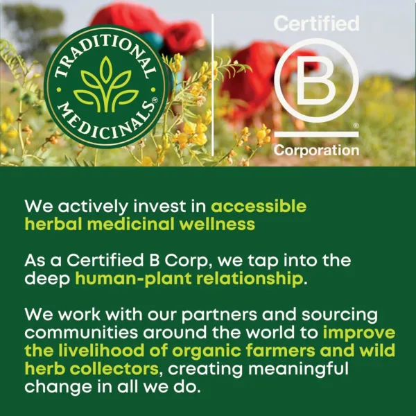 organic spearmint tea 5