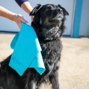 original german shammy cloth 3