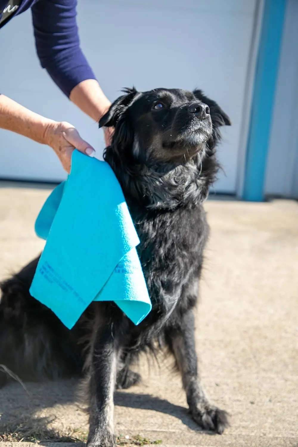 original german shammy cloth 3