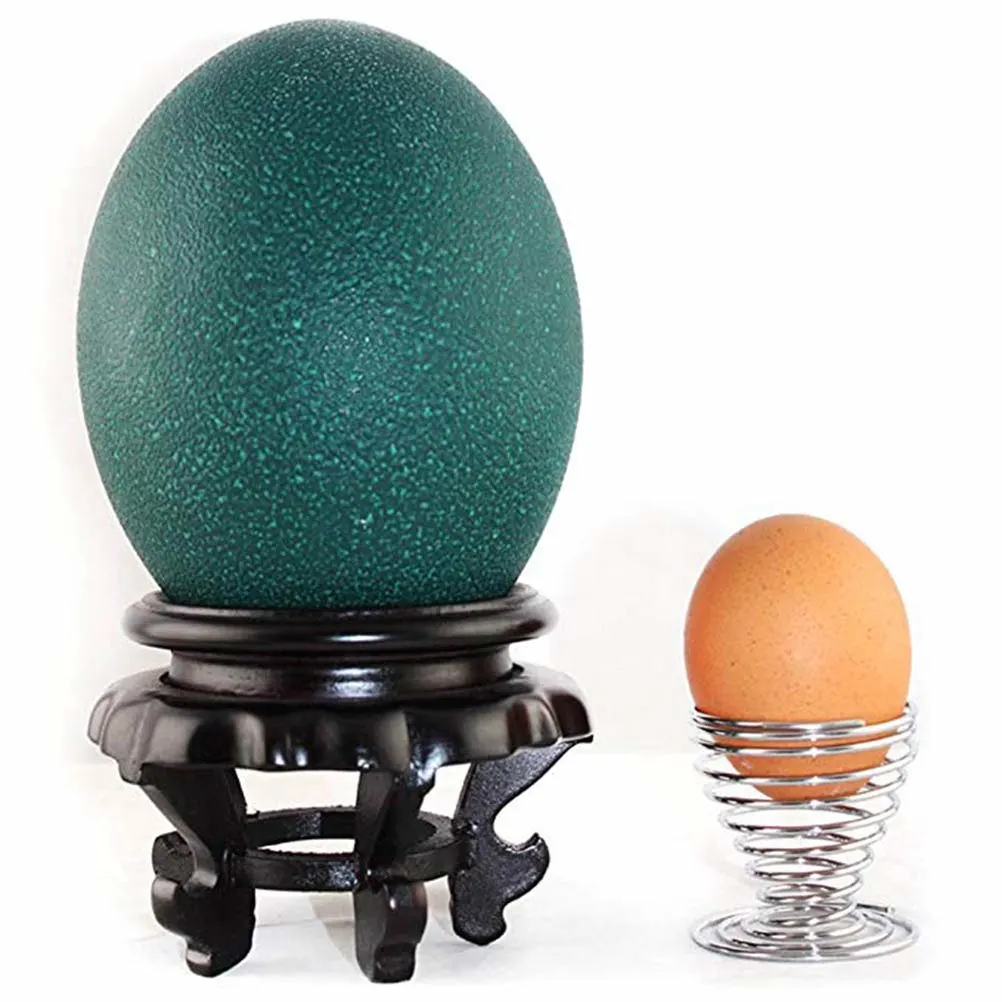 ostrich egg display stand 1