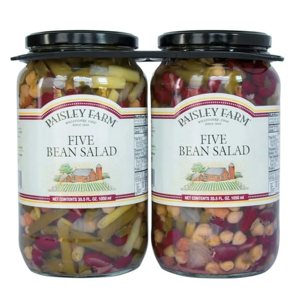 paisley farm bean salad 1