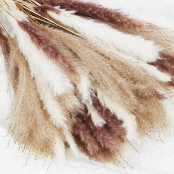 pampas grass decor 2