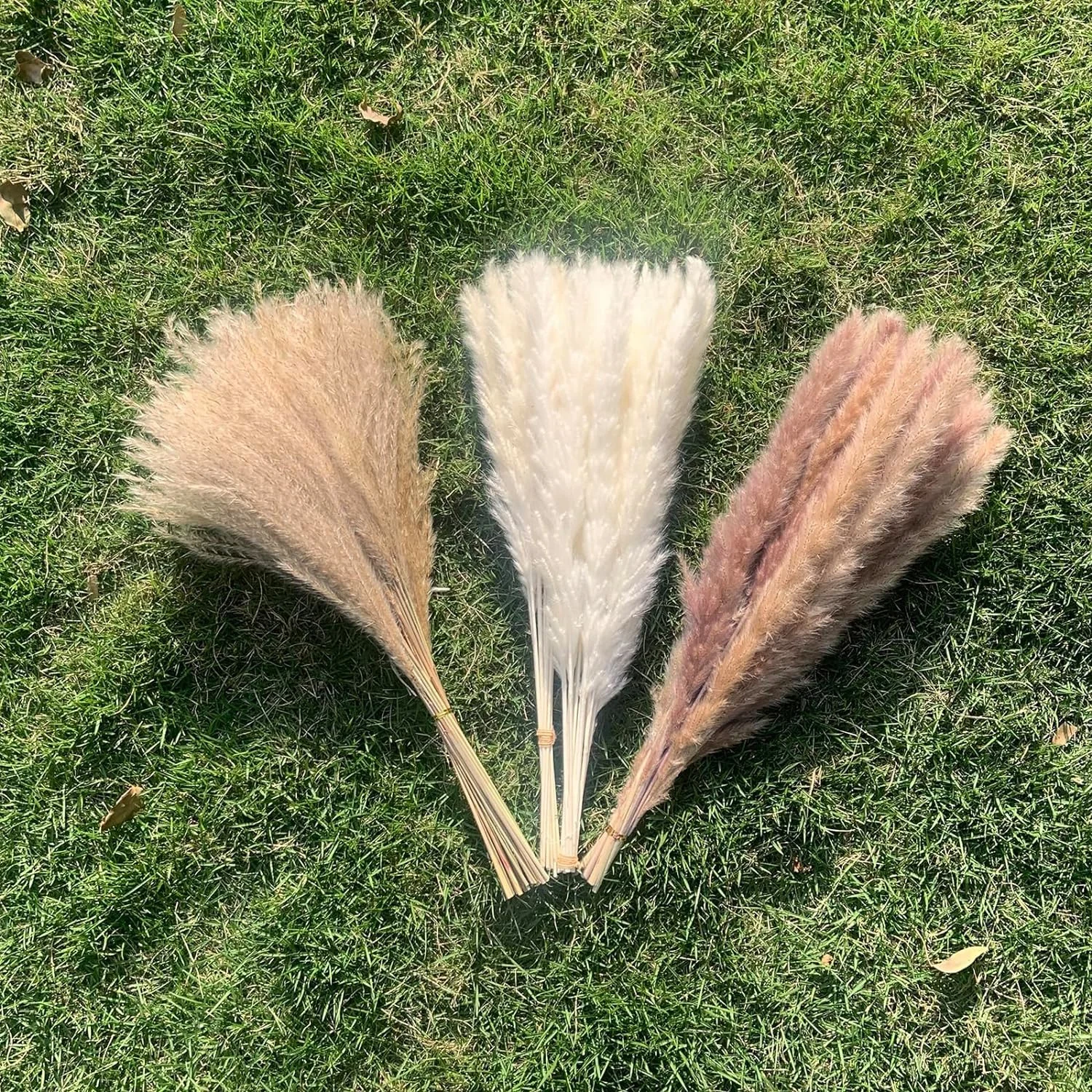 pampas grass decor 4